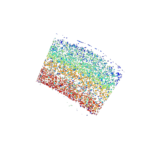 plot of the de novo generated celltype map